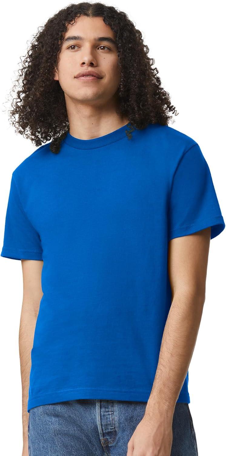 imageAmerican Apparel Adult Heavyweight Cotton Style G1301G1301GD Tshirt MultipackRoyal Blue 2pack