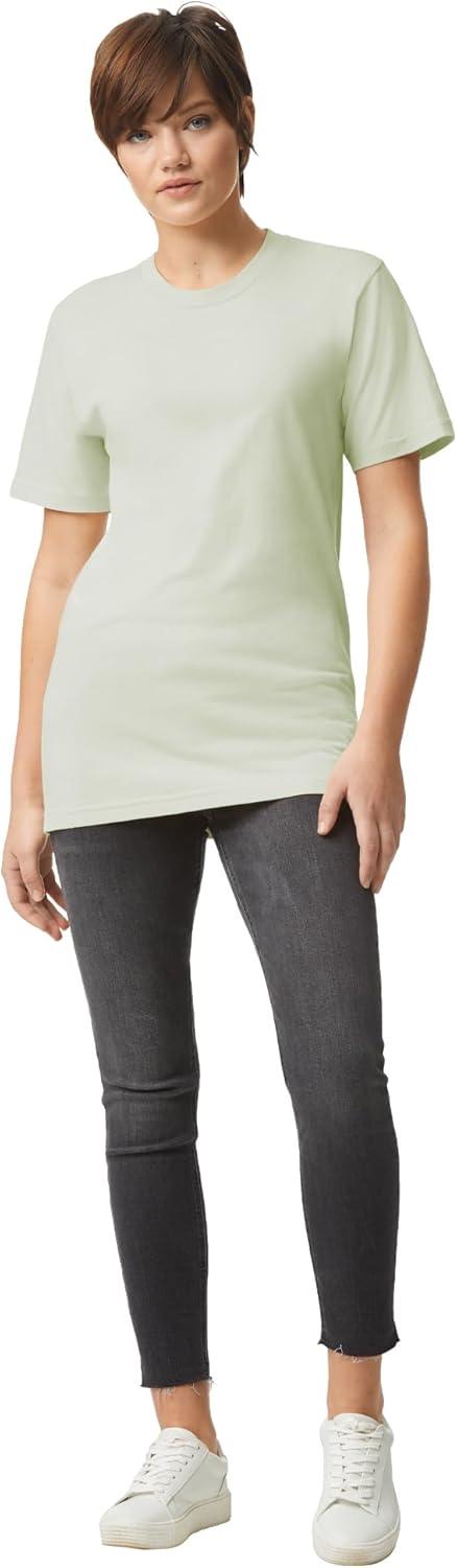 imageAmerican Apparel UnisexAdult Fine Jersey TShirt Style G2001 MultipackNew Silver 2pack