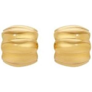 Heaven Mayhem Women’s Terre Earrings(Gold)