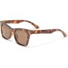 imageAIRE Womens Bellatrix SunglassesBrown