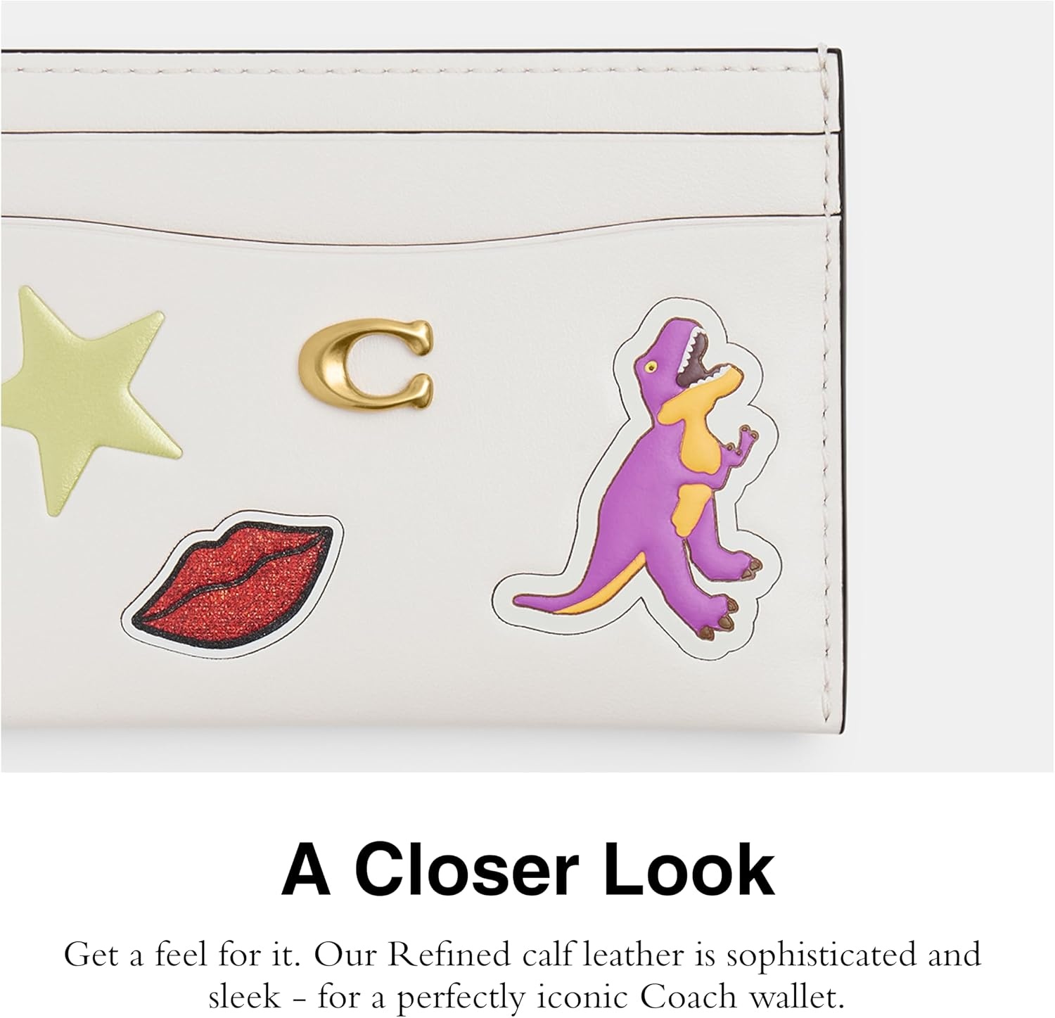 image:imageCoach Essential Card Case With CharmsB4CHALK MULTI