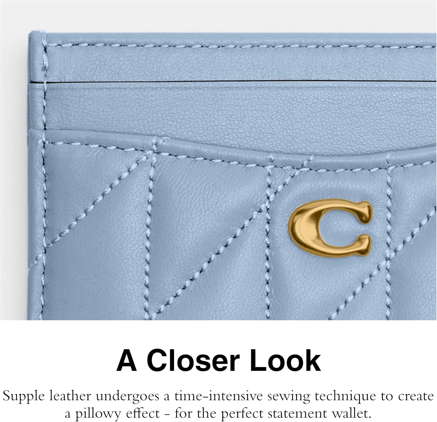 image:imageCoach Essential Card Case With CharmsBluebell