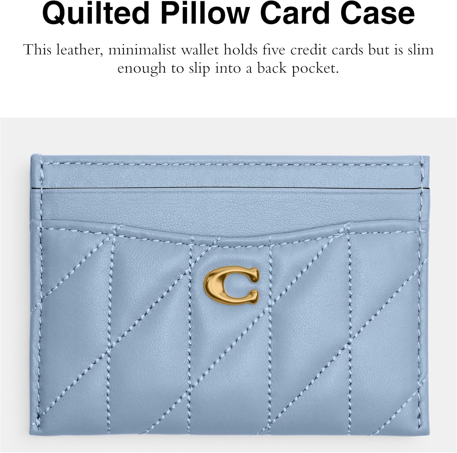 image:imageCoach Essential Card Case With CharmsBluebell