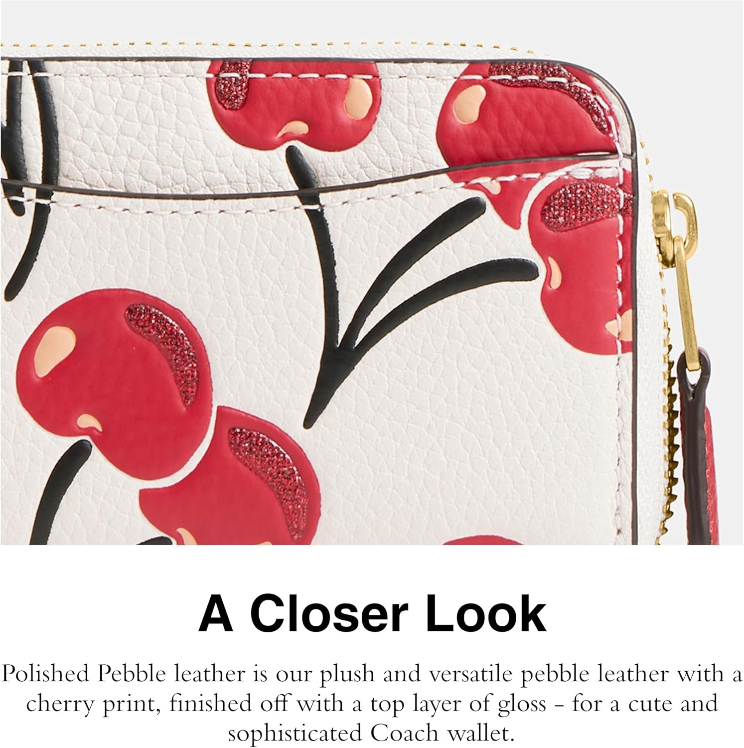 image:imageCoach Essential Card Case With CharmsChalk Multi